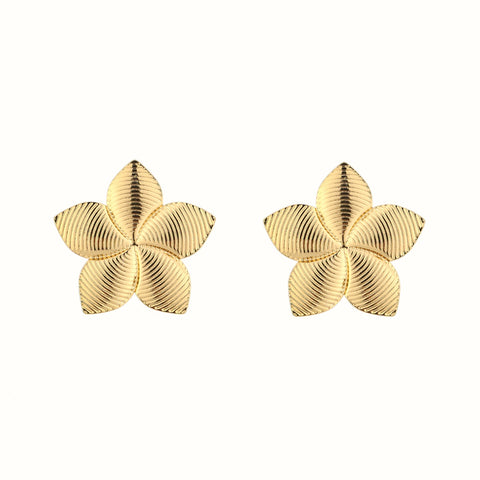 Aretes de acero inoxidable