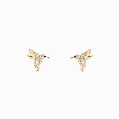 ARETE COLIBRÍ