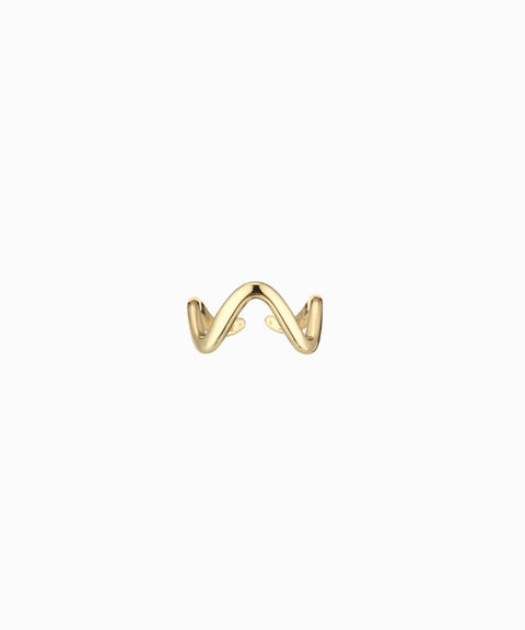Anillo de onda