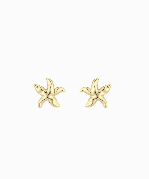 Aretes en forma de estrella de mar