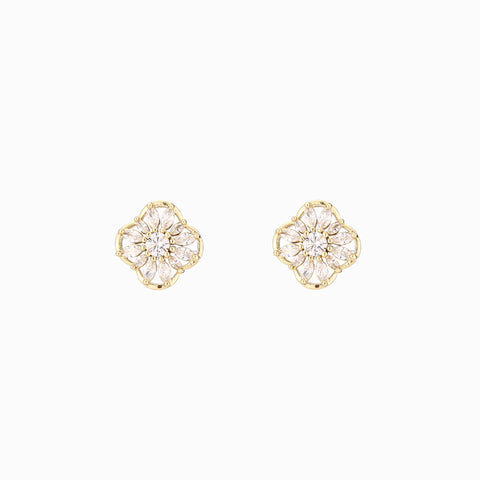 ARETE FLOR DE NOCHE