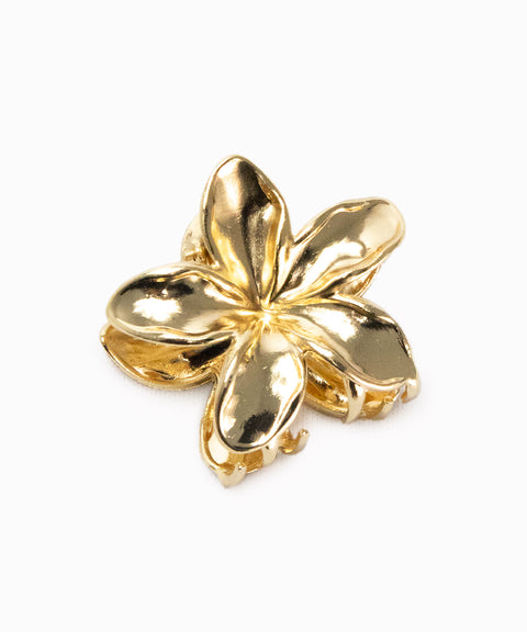 BROCHE FLOR
