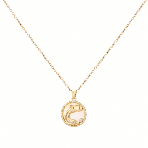 COLLAR CASUAL DIJE SIGNO