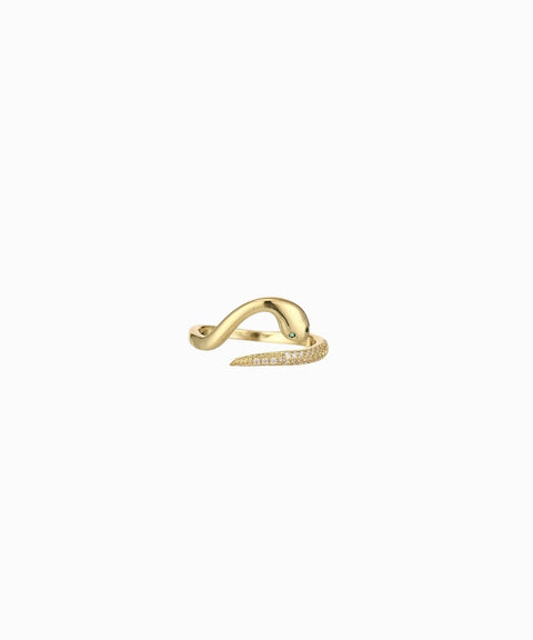 Anillo de serpiente