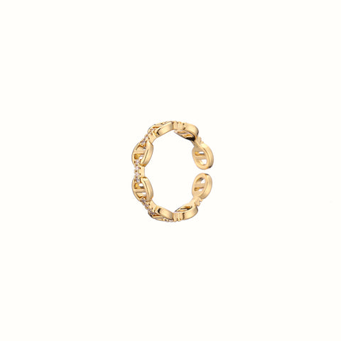 Anillo